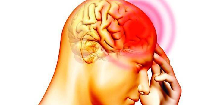 Le processus inflammatoire dans le cerveau