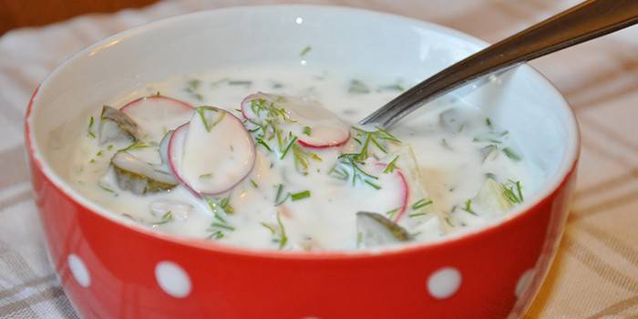 Okroshka al kefir