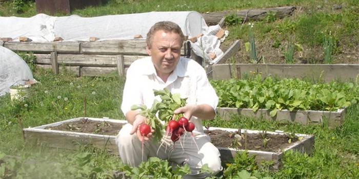 Aukštos daržovių lovos