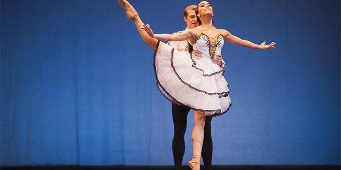 Pas de deux ievaddaļa
