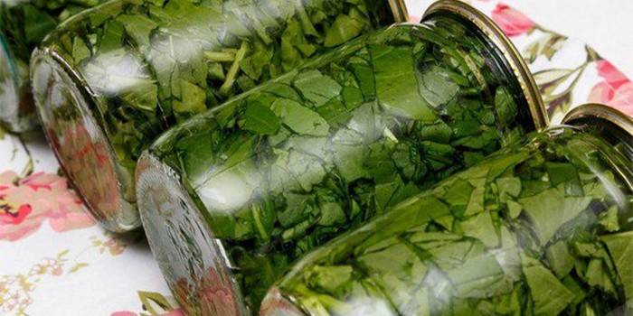 Gläser eingemachte Sauerampferblätter