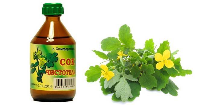 Chai nước trái cây và hoa celandine