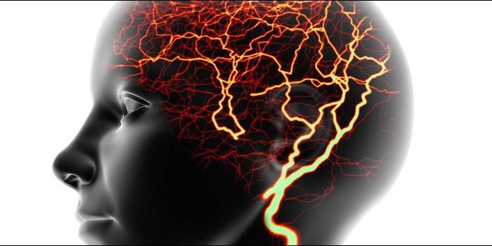 Neuronii creierului uman