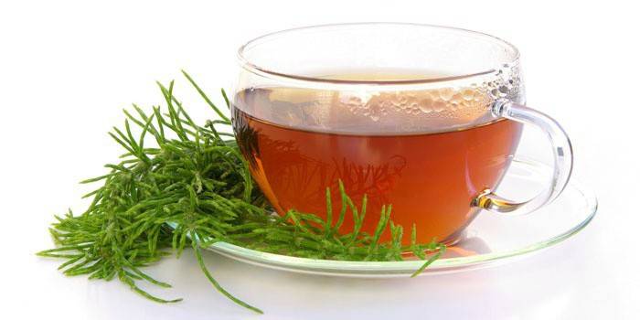 Schachtelhalminfusion in einer Tasse