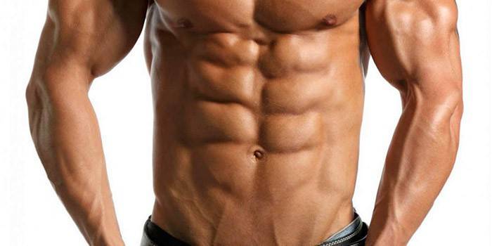Muscles abdominaux