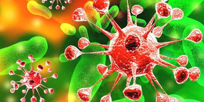Virus al microscopio