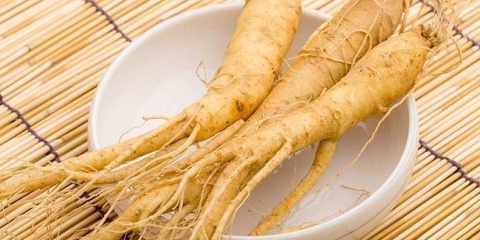 Raiz de ginseng