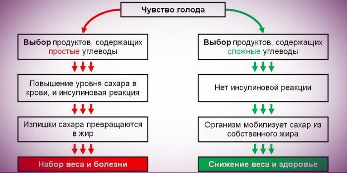 Избор на хранителен глад