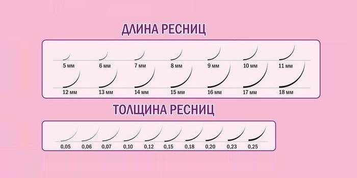 Дължина и дебелина на миглите