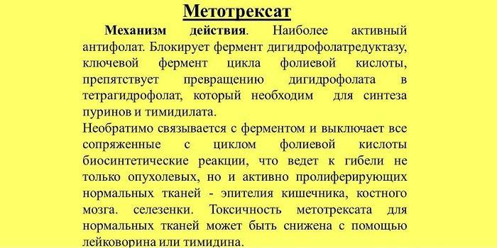 Vaisto veikimo mechanizmas