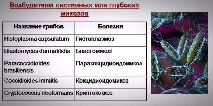 Mikoosin patogeenit