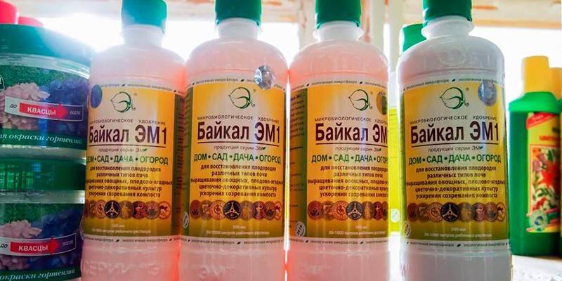 Baikal - EM 1