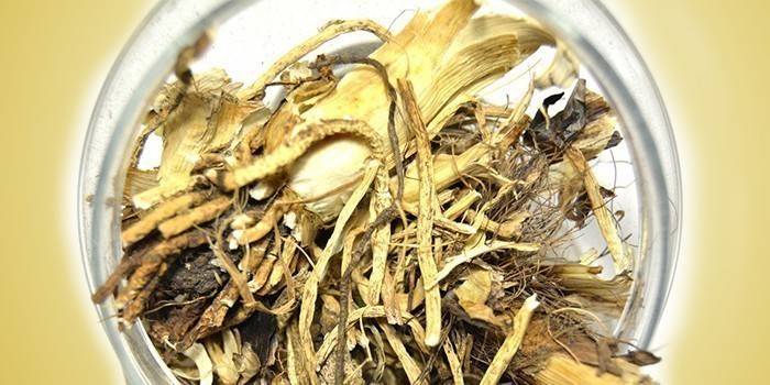 Titiriteros raíces en un plato