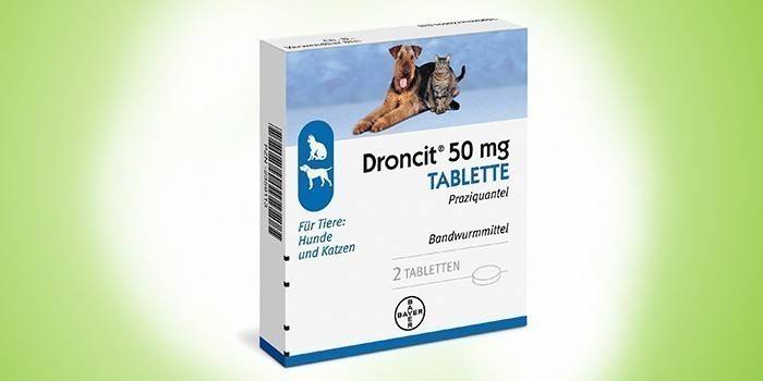 Dronzitas
