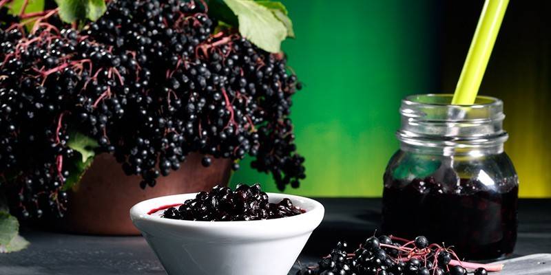 Dulceata de Elderberry