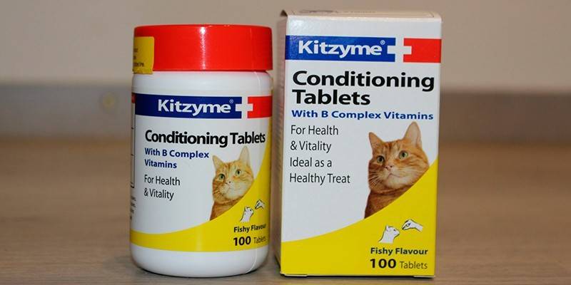 Kittsee