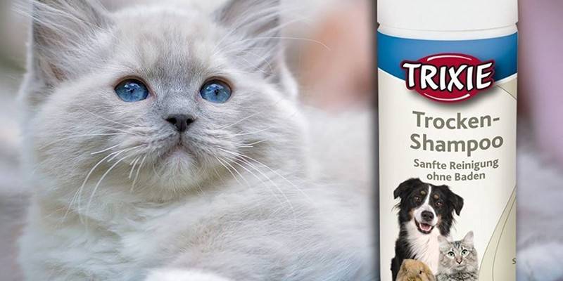 Trixie trocken shampoo