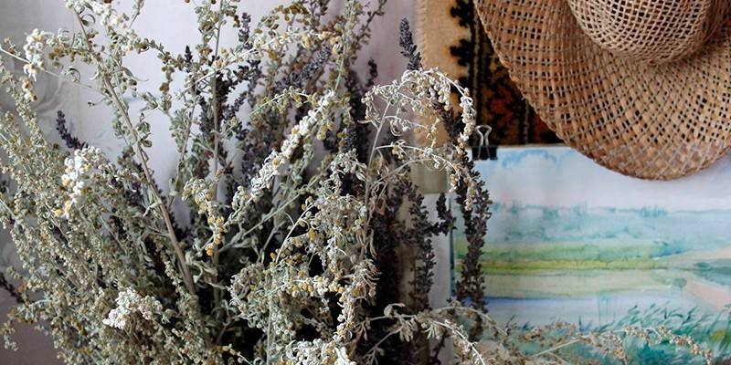 Pinatuyong wormwood