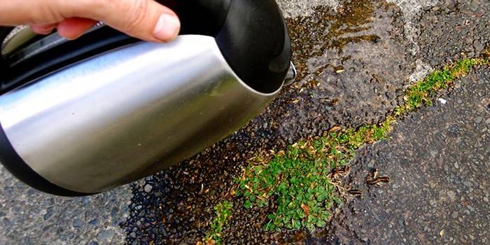 Ang kumukulo ng tubig mula sa takure