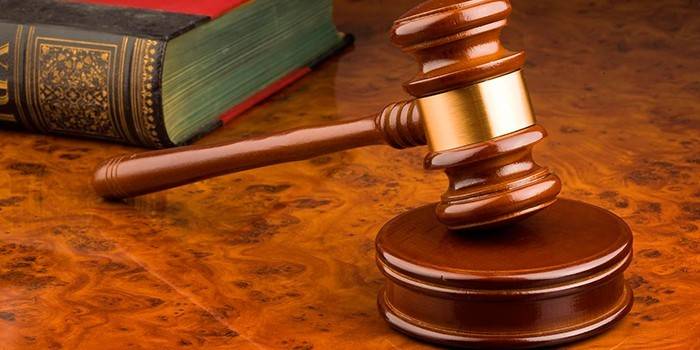 Martelo Judicial e Livro