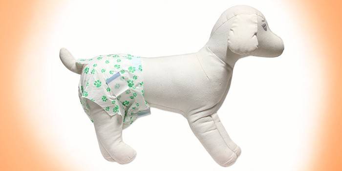 Pampers per femmine