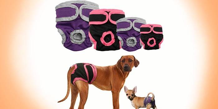 Pannolini per cani di diverse dimensioni