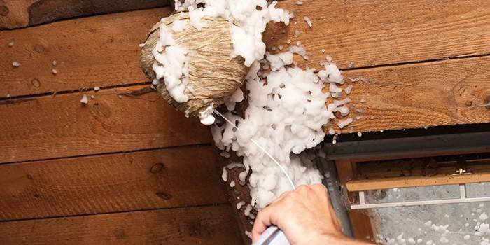 Aspen na Pagproseso ng Nest