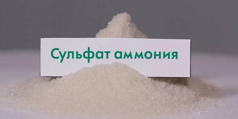 كبريتات الأمونيوم