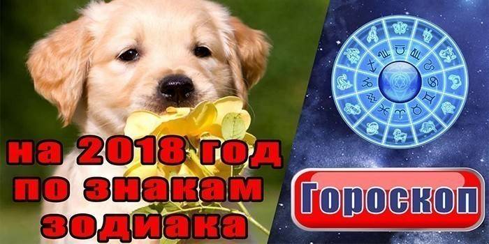 Horòscop de l'any del gos de la Terra