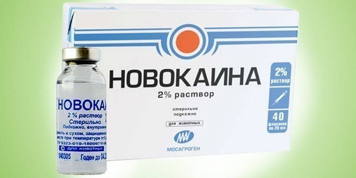 Novokaīns