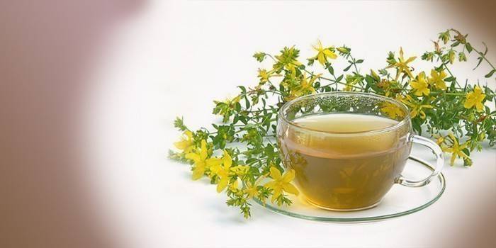 Un decotto di celidonia lascia in una tazza