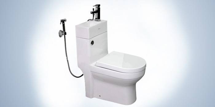 WC mosdóval és higiéniai zuhannyal kombinálva. Laguraty 8074A