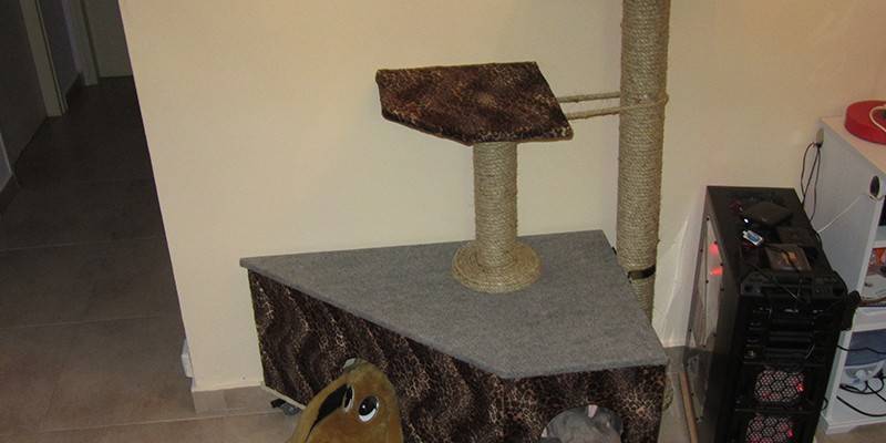 Coin du chat