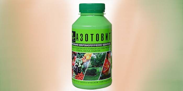Phân bón sinh học Azotovit trong ngân hàng