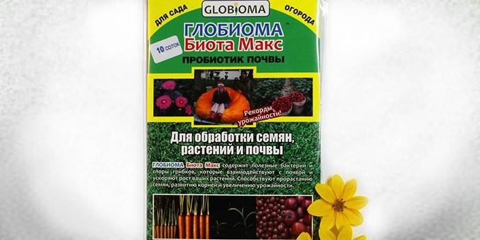 Probiotic Đất Globioma Biota Max