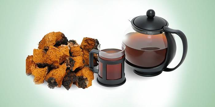 Decotto di Chaga