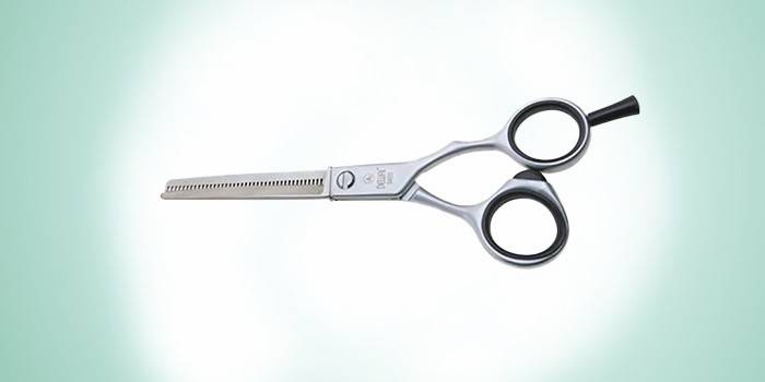 Praktiskais modelis DEWAL S4055