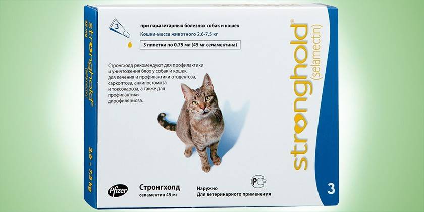 Selamectin pour les chats