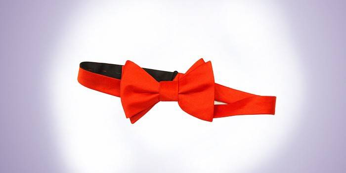 Kırmızı düz kelebek samovyaz 826464