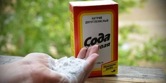 Soda no nagu sēnītes