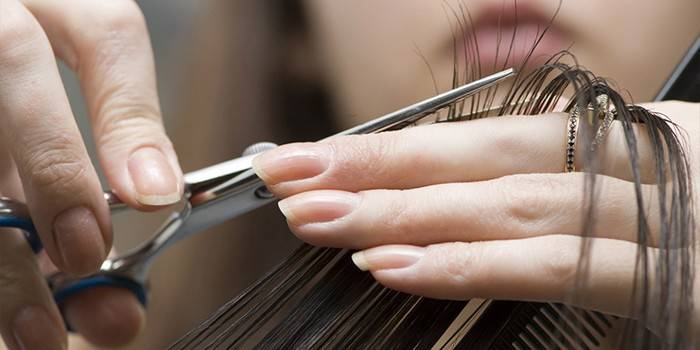 Buenos días de corte de pelo en enero