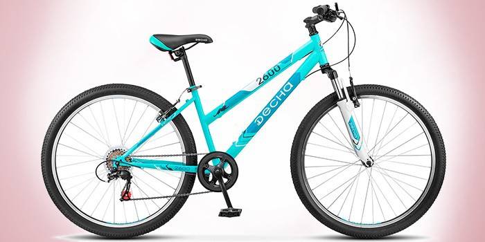 Cruiser Desna 2600 V