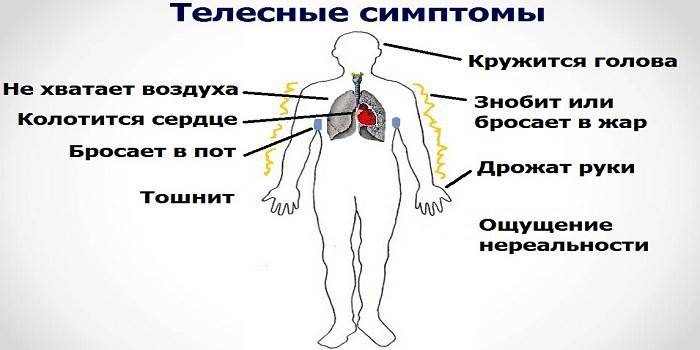 Triệu chứng thực thể của một cuộc tấn công hoảng loạn