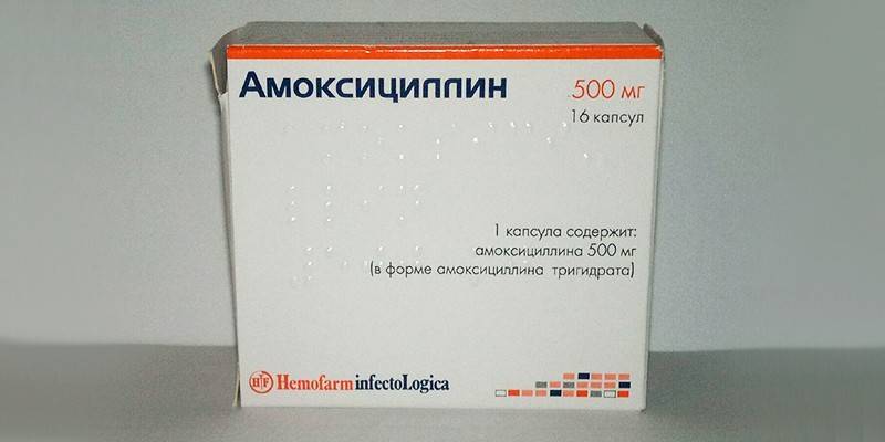 Amoxicillin