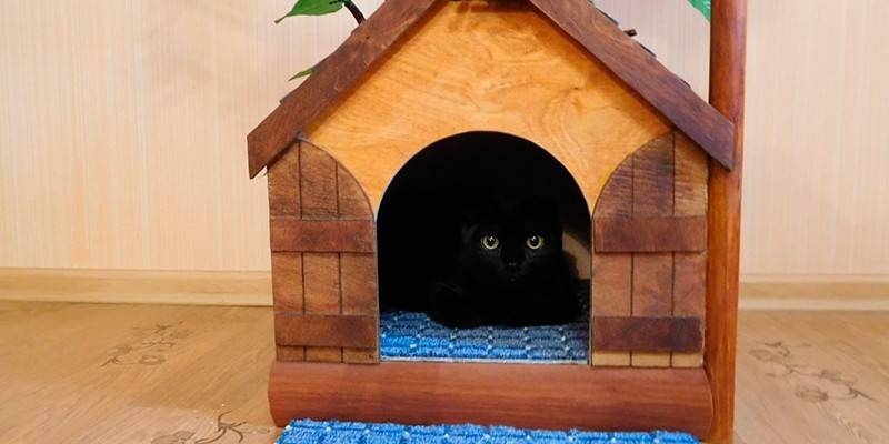Maison en bois faite maison
