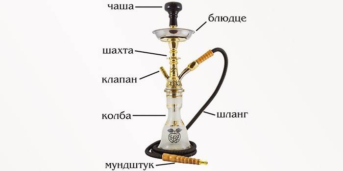 Thiết bị Hookah