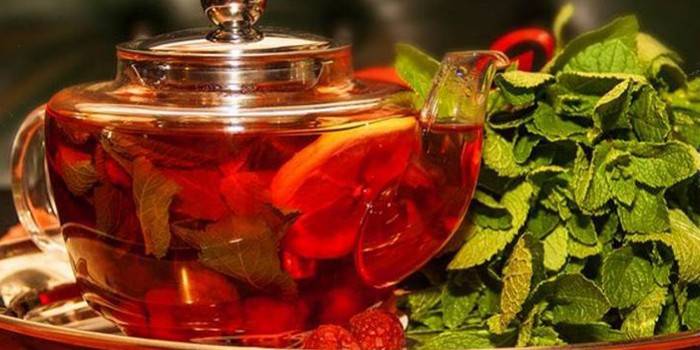 Truyền dịch của quả mọng và lá