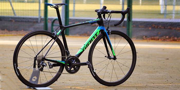 Giant TCR Advanced 1