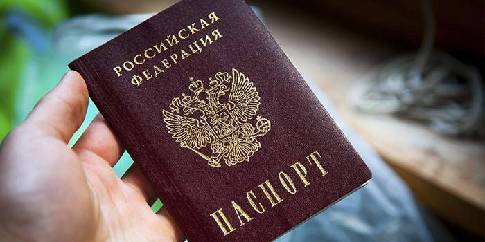 Rus vatandaşı pasaport elinde