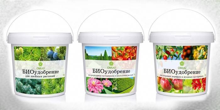 Phân bón sinh học trong hộp nhựa từ Omug